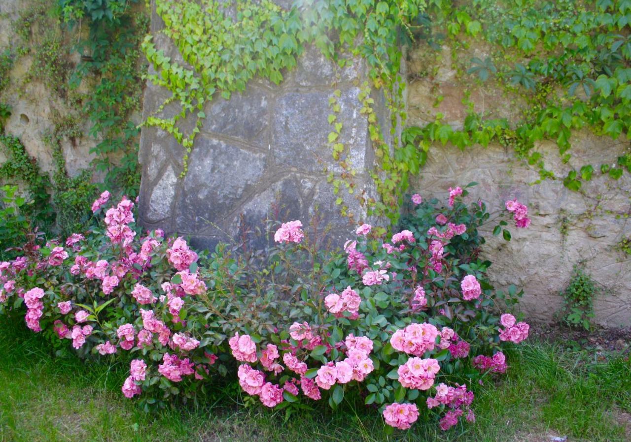 White Lilac Romantic B&B - Adults Only Arona Esterno foto